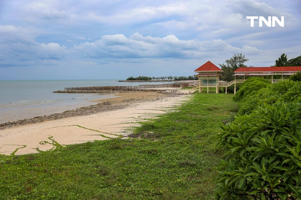 รูป-ดอยคำผนึกกำลังฟื้นฟูชายหาดพระราชนิเวศน์มฤคทายวัน ปลูกต้นไม้สันดอนทรายชายฝั่งคืนสมดุลสู่ธรรมชาติ-13