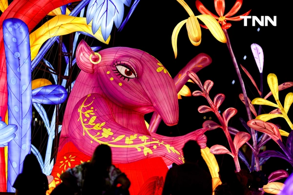 รูป-ครั้งแรกในไทย “Yuyuan Lantern Festival 2025” ร่วมฉลอง 50 ปี ความสัมพันธ์ทางการทูตไทย–จีน-5