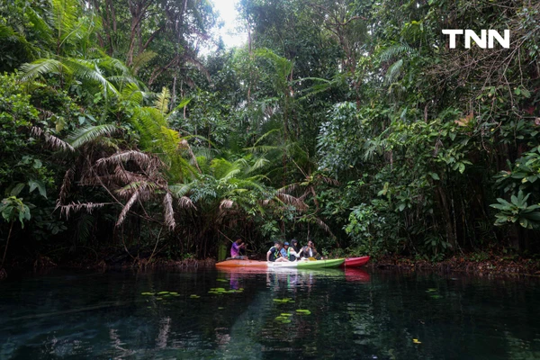 รูป-ตามรอย “Jurassic World” พายคายัคชมธรรมชาติที่ “คลองหรูด” จ.กระบี่-23