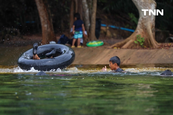 รูป-ตามรอย “Jurassic World” พายคายัคชมธรรมชาติที่ “คลองหรูด” จ.กระบี่-6