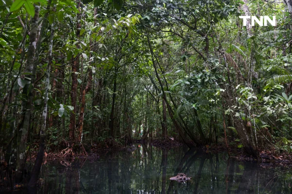 รูป-ตามรอย “Jurassic World” พายคายัคชมธรรมชาติที่ “คลองหรูด” จ.กระบี่-17