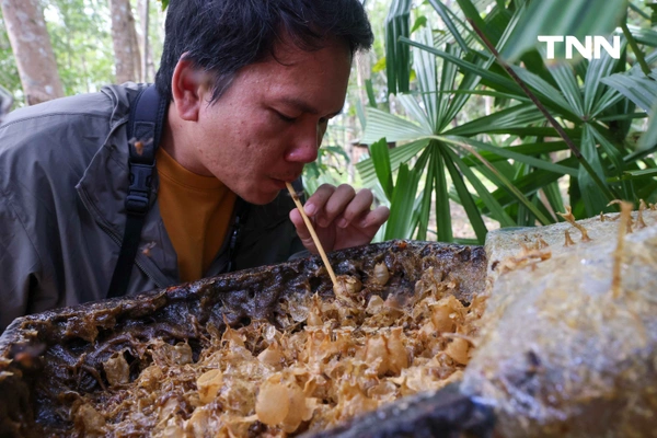 รูป-“บ้านไหนหนัง” ประตูสู่ความงดงามกลางอ่าวท่าเลน ท่องเที่ยววิถีชุมชน สัมผัสธรรมชาติอย่างยั่งยืน-22