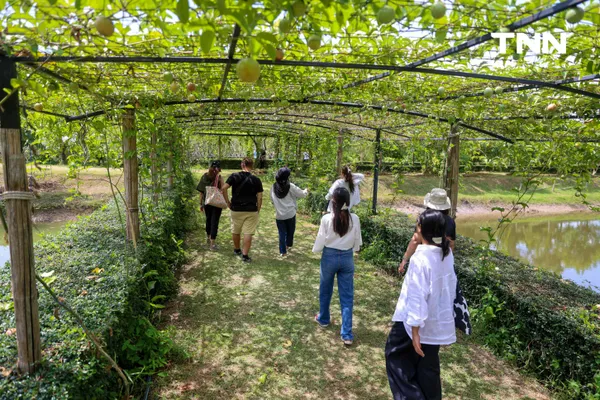 รูป-“บ้านไหนหนัง” ประตูสู่ความงดงามกลางอ่าวท่าเลน ท่องเที่ยววิถีชุมชน สัมผัสธรรมชาติอย่างยั่งยืน-17