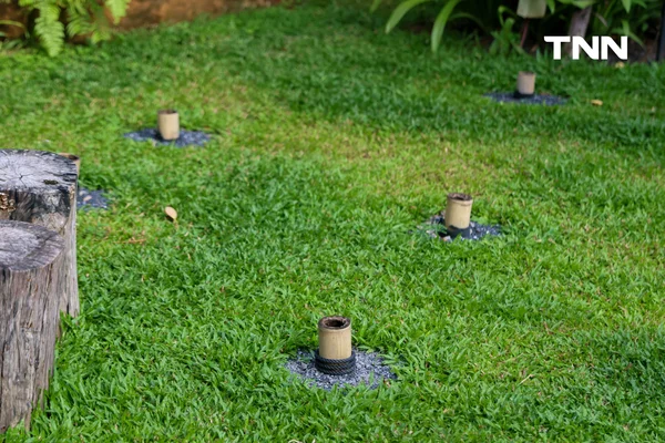 รูป-“บ้านไหนหนัง” ประตูสู่ความงดงามกลางอ่าวท่าเลน ท่องเที่ยววิถีชุมชน สัมผัสธรรมชาติอย่างยั่งยืน-24