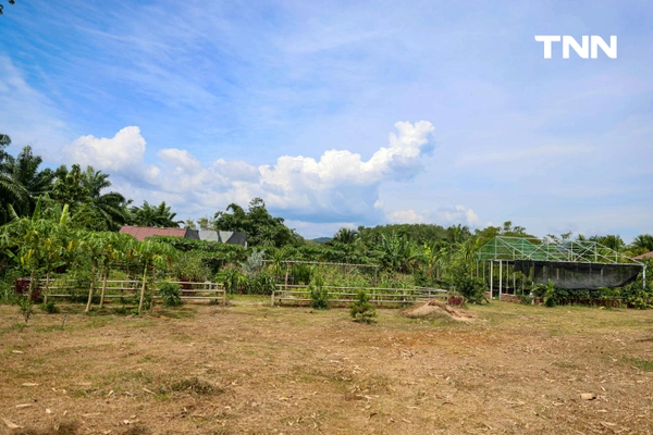 รูป-“บ้านไหนหนัง” ประตูสู่ความงดงามกลางอ่าวท่าเลน ท่องเที่ยววิถีชุมชน สัมผัสธรรมชาติอย่างยั่งยืน-21