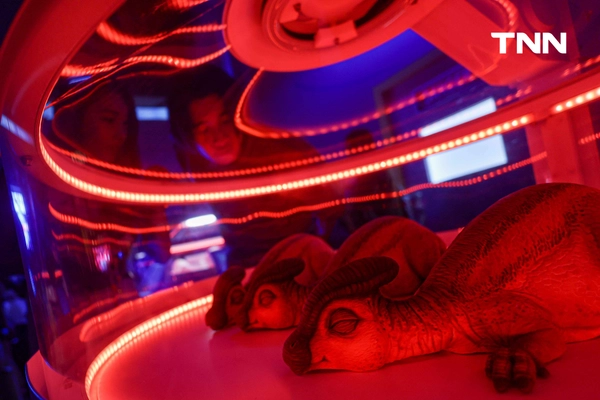 รูป-มุ่งสู่โลกดึกดำบรรพ์ Jurassic World: The Experience อิมเมอร์ซีฟสุดยิ่งใหญ่ท่ามกลางไดโนเสาร์เสมือนจริงใจกลางกรุงเทพฯ -35