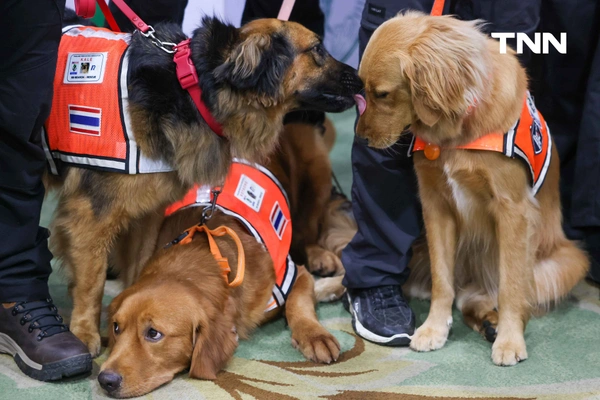 รูป-น้องหมา K9 พร้อมหน่วยงานต่างๆ ร่วมรับ เครื่องหมายเชิดชูเกียรติ “นคราภิรักษ์” กรณีเหตุการณ์แผ่นดินไหว -21