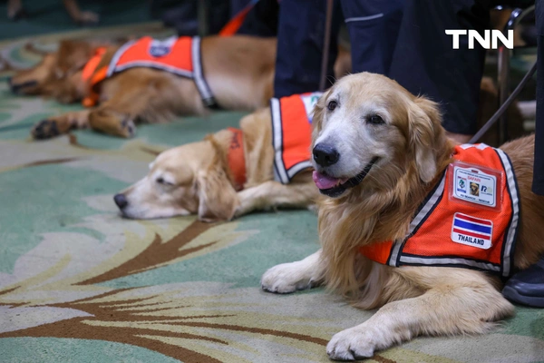 รูป-น้องหมา K9 พร้อมหน่วยงานต่างๆ ร่วมรับ เครื่องหมายเชิดชูเกียรติ “นคราภิรักษ์” กรณีเหตุการณ์แผ่นดินไหว -17