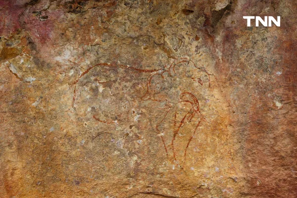 รูป-ชวนเที่ยว ชมธรรมชาติ ร่วมเรียนรู้แหล่งวัฒนธรรมที่ “อุทยานประวัติศาสตร์ภูพระบาท” มรดกโลกทางวัฒนธรรม ของอุดรธานี-4