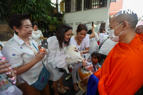 รูป-ตักบาตรเทโวพระสงฆ์ 108 รูป วันออกพรรษา พุทธศาสสนิกชนแน่นภูเขาทอง-23