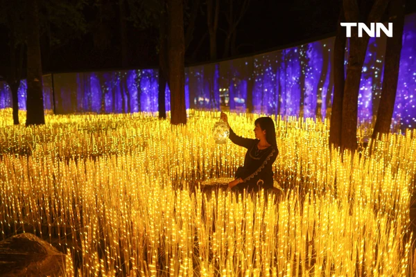 รูป-ณ สัทธา อุทยานไทย เนรมิตงานไฟ "Nasatta Light Festival 2026" สู่ สรวงสวรรค์นางฟ้า สุดตระการตาน้อมนำพระราชดำริด้านอนุรักษ์ของ สมเด็จพระพันปีหลวง-7