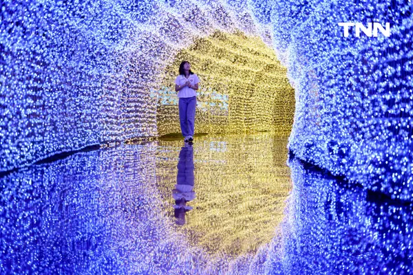 รูป-ณ สัทธา อุทยานไทย เนรมิตงานไฟ "Nasatta Light Festival 2026" สู่ สรวงสวรรค์นางฟ้า สุดตระการตาน้อมนำพระราชดำริด้านอนุรักษ์ของ สมเด็จพระพันปีหลวง-21