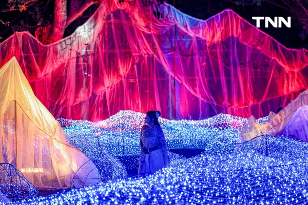 รูป-ณ สัทธา อุทยานไทย เนรมิตงานไฟ "Nasatta Light Festival 2026" สู่ สรวงสวรรค์นางฟ้า สุดตระการตาน้อมนำพระราชดำริด้านอนุรักษ์ของ สมเด็จพระพันปีหลวง-23
