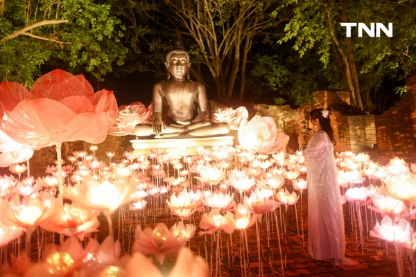 รูป-ณ สัทธา อุทยานไทย เนรมิตงานไฟ "Nasatta Light Festival 2026" สู่ สรวงสวรรค์นางฟ้า สุดตระการตาน้อมนำพระราชดำริด้านอนุรักษ์ของ สมเด็จพระพันปีหลวง-10