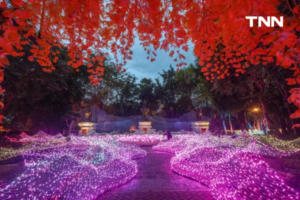 รูป-ณ สัทธา อุทยานไทย เนรมิตงานไฟ "Nasatta Light Festival 2026" สู่ สรวงสวรรค์นางฟ้า สุดตระการตาน้อมนำพระราชดำริด้านอนุรักษ์ของ สมเด็จพระพันปีหลวง-5