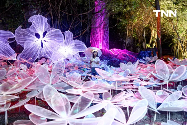 รูป-ณ สัทธา อุทยานไทย เนรมิตงานไฟ "Nasatta Light Festival 2026" สู่ สรวงสวรรค์นางฟ้า สุดตระการตาน้อมนำพระราชดำริด้านอนุรักษ์ของ สมเด็จพระพันปีหลวง-12