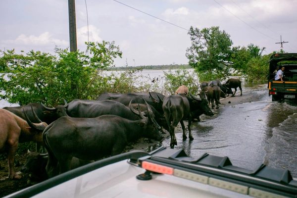รูป-ซีพีอาสา ส่งต่อความช่วยเหลือ บรรเทาความเดือดร้อนผู้ประสบอุทกภัยพัทลุง-21