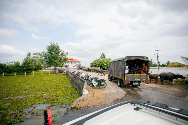 รูป-ซีพีอาสา ส่งต่อความช่วยเหลือ บรรเทาความเดือดร้อนผู้ประสบอุทกภัยพัทลุง-16