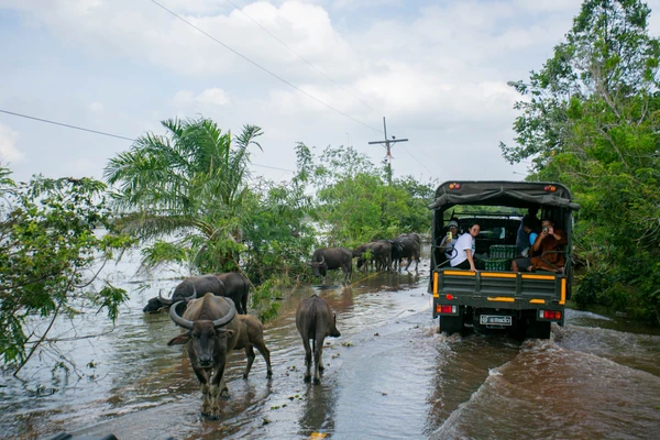 รูป-ซีพีอาสา ส่งต่อความช่วยเหลือ บรรเทาความเดือดร้อนผู้ประสบอุทกภัยพัทลุง-20