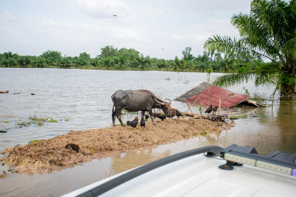 รูป-ซีพีอาสา ส่งต่อความช่วยเหลือ บรรเทาความเดือดร้อนผู้ประสบอุทกภัยพัทลุง-17