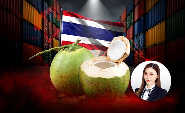 เปิดปม "วิกฤตมะพร้าวไทย" ล้นตลาด-ถูกกดราคา  ใครได้? ใครเสีย? ในเกมราคาที่ไม่เป็นธรรม!