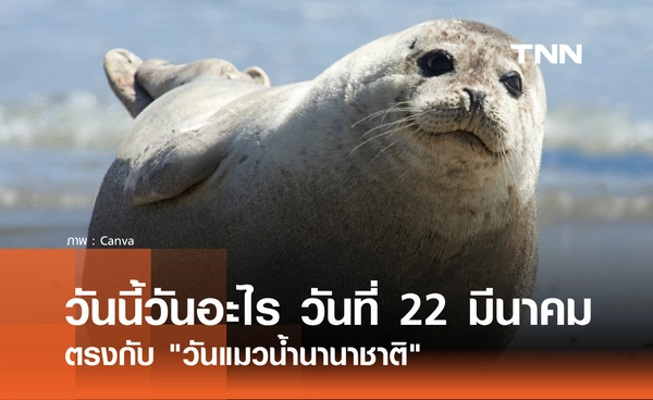 วันนี้วันอะไร วันที่ 22 มีนาคม 2569 ตรงกับ "วันแมวน้ำนานาชาติ"