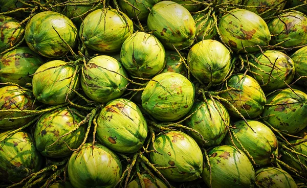 "พาณิชย์-สอบสวนกลาง" จ่อฟันนอมินี "ล้งมะพร้าว" เร่งสอบต่างชาติ-คนไทยร่วมกระทำผิด