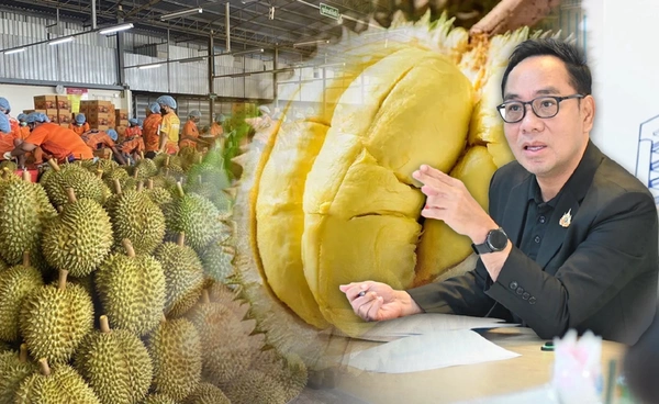 พณ.สำรวจตลาดทุเรียน ดันรายได้เกษตรกร  