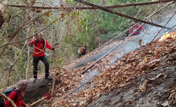 จนท.เร่งดับไฟป่า อุทยานแห่งชาติน้ำตกห้วยยาง  ลุกลามเสียหายกว่า 50 ไร่ 