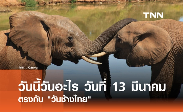 วันนี้วันอะไร วันที่ 13 มีนาคม 2569 ตรงกับ "วันช้างไทย"