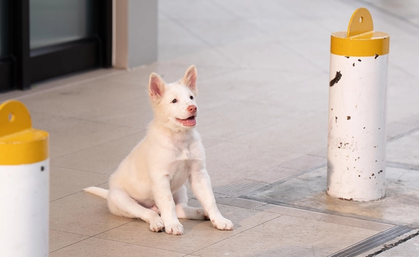 เบื้องหลังสุดท้าทาย ถ่ายทอดชีวิต ‘โกฮัง’ 3 ช่วงวัย “โกฮัง..หัวใจโกโฮม”