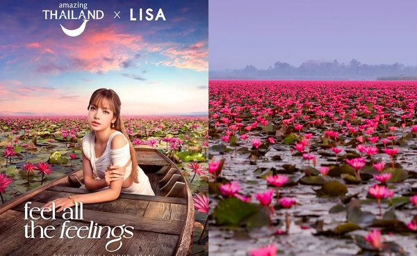 เที่ยวทะเลบัวแดง อุดรธานี ตามรอย “ลิซ่า” เดินทางอย่างไร? - ช่วงเวลาไหนสวยสุด