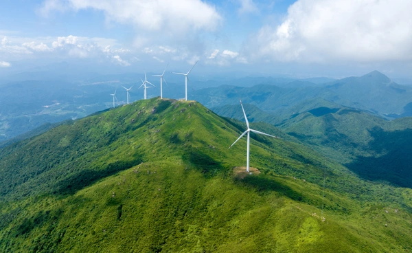 จีนเพิ่มพื้นที่สีเขียว 53 ล้านไร่  ได้สำเร็จในปี 2025 ปีเดียว!