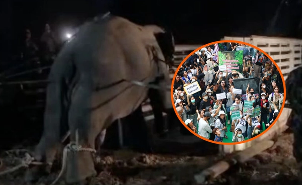 สรุปคดี “สีดอหูพับ” ปมคน–ช้างปะทะกันอย่างไร ก่อนถึงจุดแตกหัก 