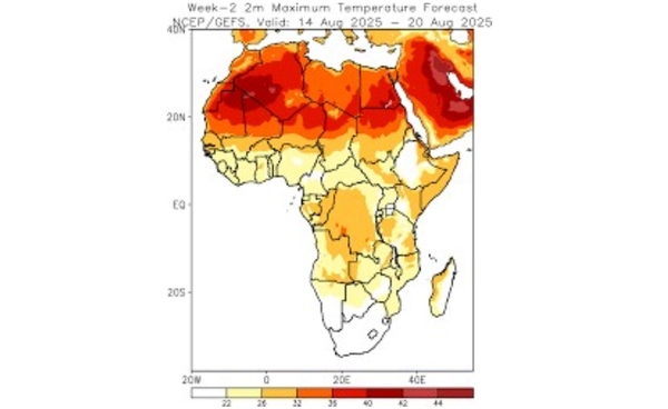 แอฟริกาอาจ “ร้อนทั้งปี” วิจัยเตือนคลื่นความร้อน  อาจยาวเกือบ 300 วันต่อปี 
