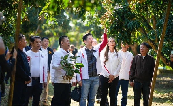 ชาวลำพูนช้ำใจ “อนุทิน” ยุบสภา ทำ พ.ร.บ.ลำไยเป็นหมัน “ยศชนัน” ประกาศทวงคืนล้งให้คนไทย