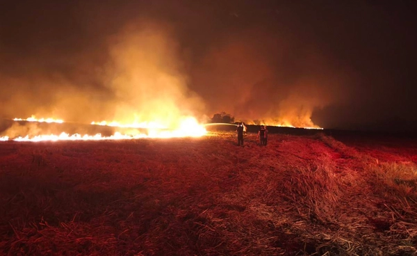 รัฐบาลเตือน! ลักลอบเผา โทษหนักจำคุกสูงสุด 20 ปี ปรับ 2 ล้านบาท