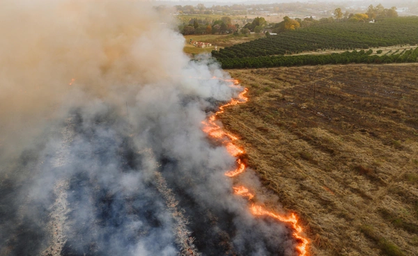 ก.เกษตร ขับเคลื่อนมาตรฐานปลอดเผา แก้ PM2.5 