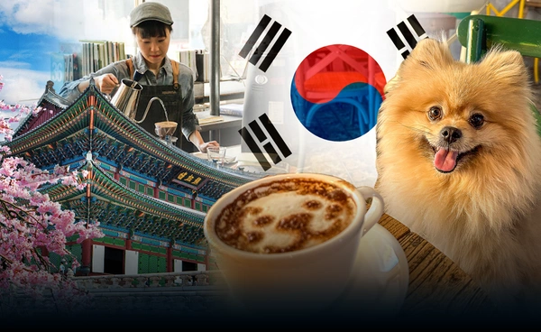 "เกาหลีใต้" เปิดร้านอาหารรับสุนัข–แมว ปูทางอุตสาหกรรม Pet-Friendly