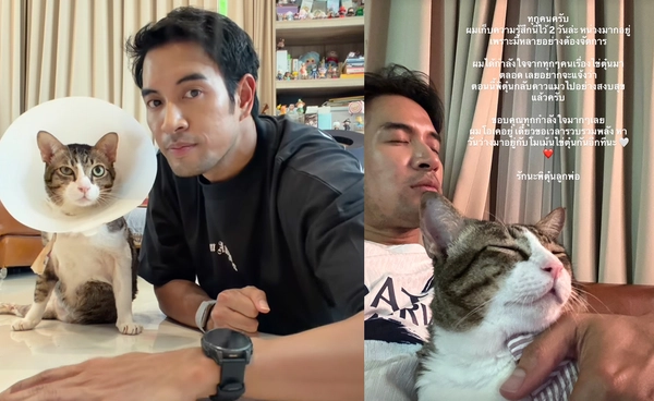แฟนให้ส่งกำลังใจ "เกรท วรินทร" แจ้งข่าวเศร้าแมวสุดที่รักกลับดาว 