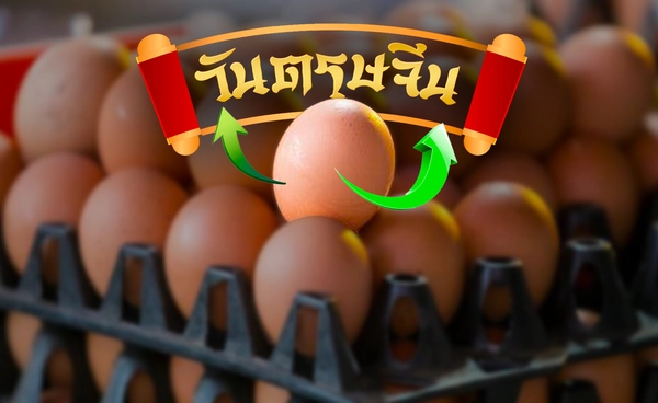 พณ.คาดหลังตรุษจีนราคาไข่ไก่อ่อนตัวจะดีขึ้น