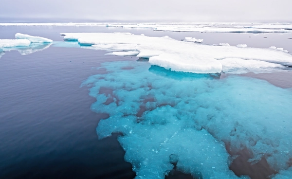 น้ำแข็งในทะเลอาร์กติก แตะระดับต่ำสุดในรอบ 48 ปี โลกกำลังเข้าสู่จุดเปลี่ยนด้านสภาพอากาศ