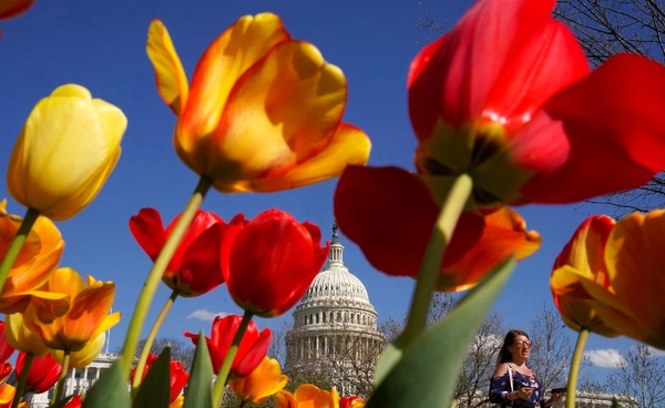 โลกอุ่นขึ้น  ดัน “ฤดูใบไม้ผลิ” มาเร็วกว่าที่เคย