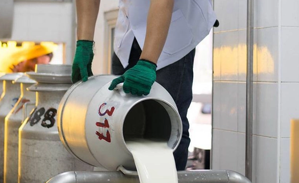 กยท. แปรรูปน้ำนมดิบ 1.1 ล้านลิตร เป็นน้ำหมักชีวภาพ ช่วยเกษตรกร เพิ่มผลผลิต เตรียมขึ้นทะเบียนปุ๋ยอินทรีย์