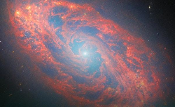 กล้องเจมส์ เวบบ์ เผยภาพดาราจักรเกลียว NGC 5134 สุดตระการตา ห่างจากโลก 65 ล้านปีแสง