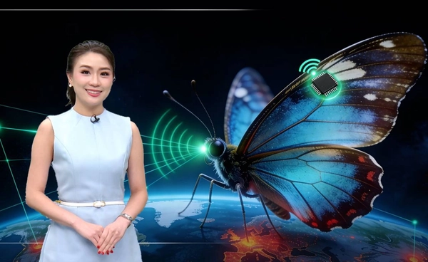 ติดชิปตามรอย “ผีเสื้อ” ไขวิกฤตสิ่งแวดล้อมโลก
