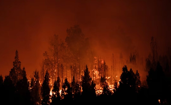 ซีกโลกใต้เดือดรับปี 69 ไฟป่าลามหนักหลายประเทศ ขนาด “ลานีญา” ก็เอาไม่อยู่ 