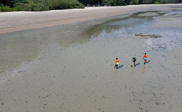 ตรังสำรวจติดตามสถานภาพพะยูน