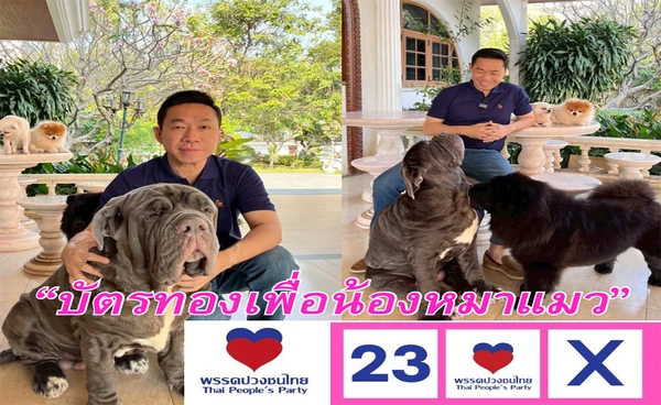 “เอกสิทธิ์ ปวงชนไทย” ผุด นโยบาย “บัตรทองเพื่อน้องหมาแมว” เอาใจคนรักสัตว์กว่า 6 ล้านครัวเรือนทั่วไทย ลั่น ทำได้ทันที 