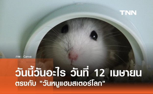 วันนี้วันอะไร วันที่ 12 เมษายน 2569 ตรงกับ "วันหนูแฮมสเตอร์โลก" (World Hamster Day)